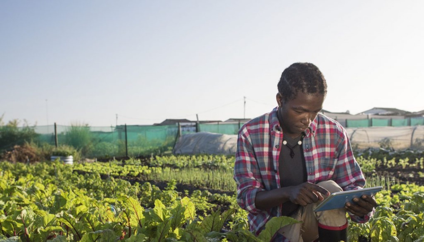 Agricultrice utilisant une tablette numérique sur le terrain